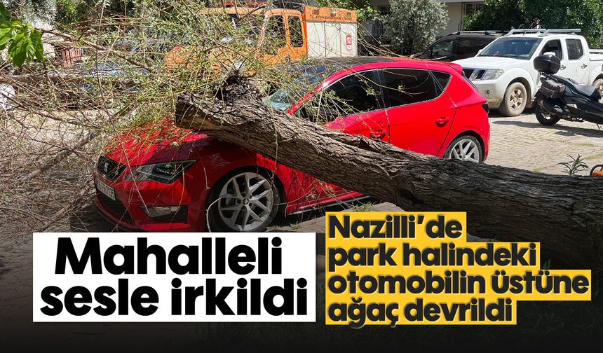 Nazilli’de park halindeki otomobilin üstüne ağaç devrildi