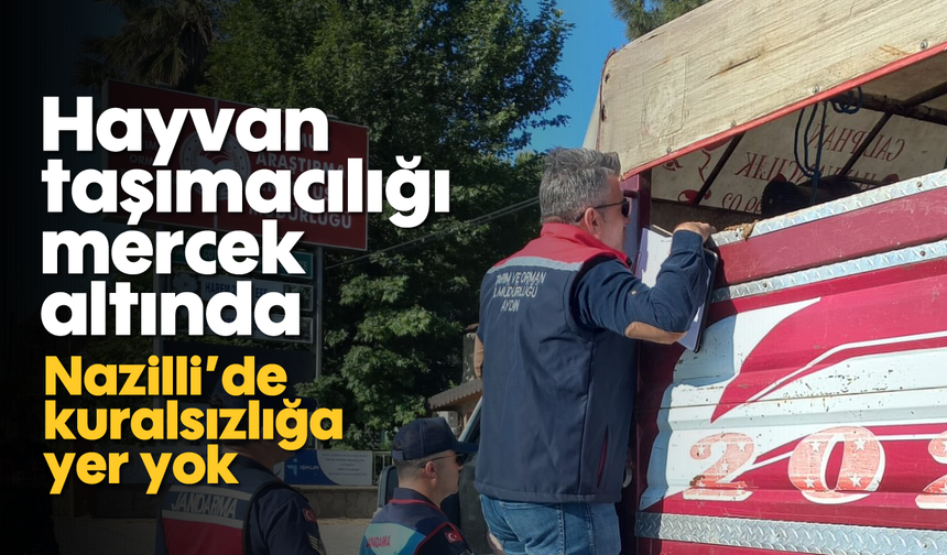 Nazilli'de kuralsızlığa yer yok
