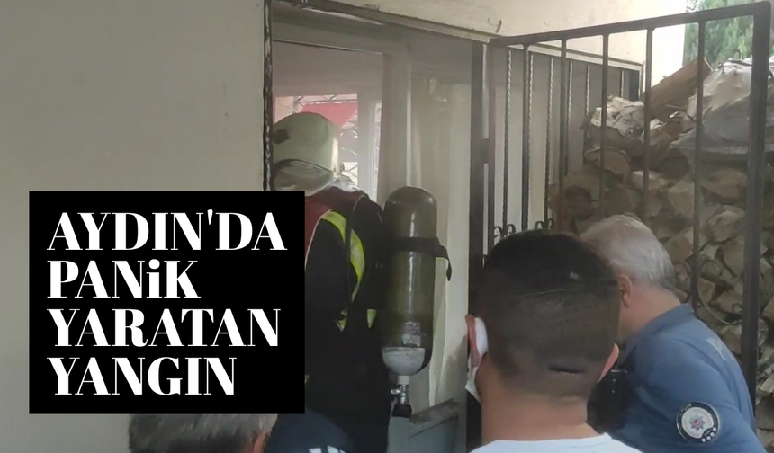 Aydın'da panik yaratan yangın