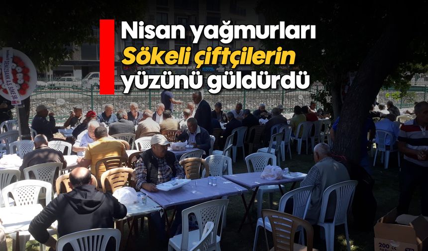 Nisan yağmurları Sökeli çiftçilerin yüzünü güldürdü
