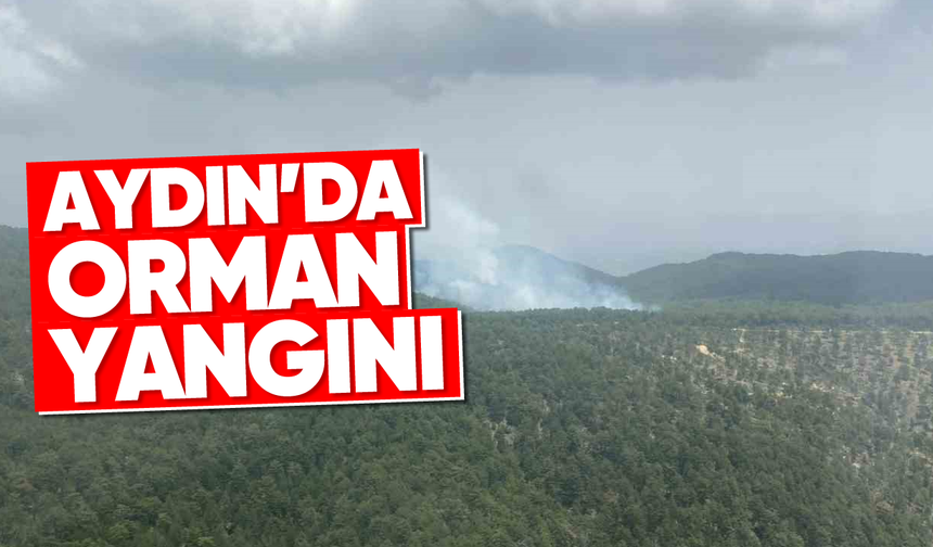 Aydın’da orman yangını