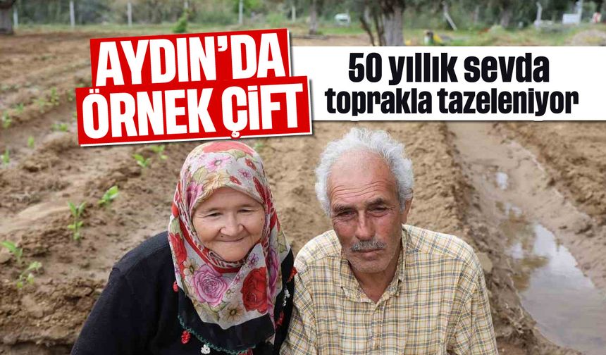 Aydın'da örnek çift: 50 yıllık sevda toprakla tazeleniyor