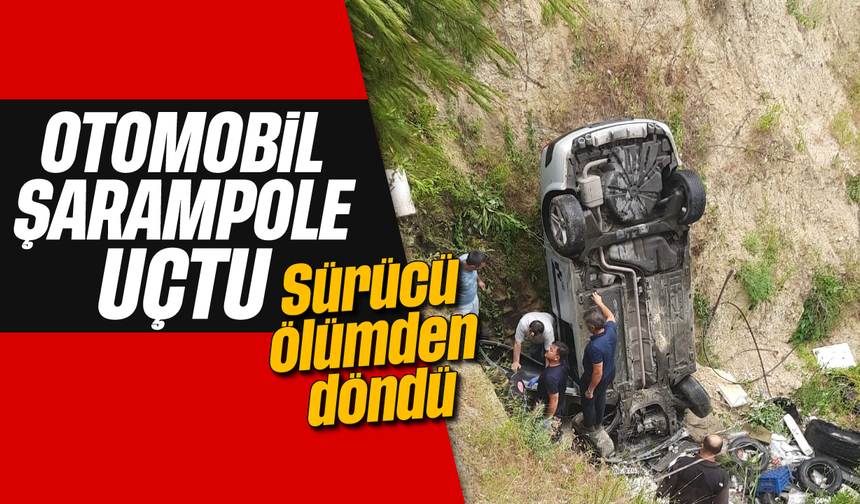 Otomobil şarampole uçtu: Sürücü yaralandı