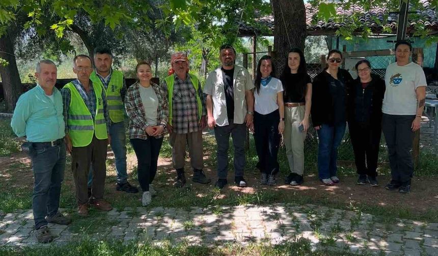 Tralleis Antik Kenti’nde 2025 yılı kazıları başladı