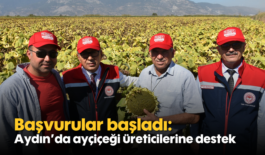 Başvurular başladı: Aydın’da ayçiçeği üreticilerine destek