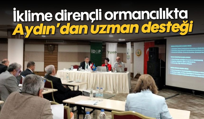 İklime dirençli ormancılıkta Aydın’dan uzman desteği