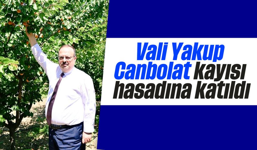 Vali Yakup Canbolat kayısı hasadına katıldı