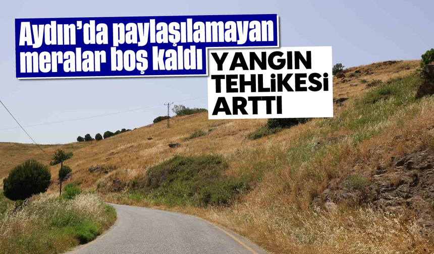 Aydın’da paylaşılamayan meralar boş kaldı, yangın tehlikesi arttı