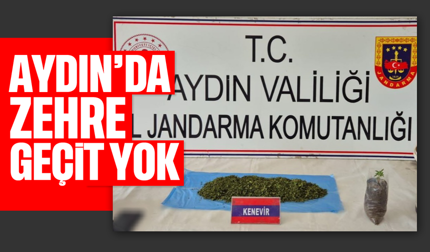 Aydın’da zehre geçit yok