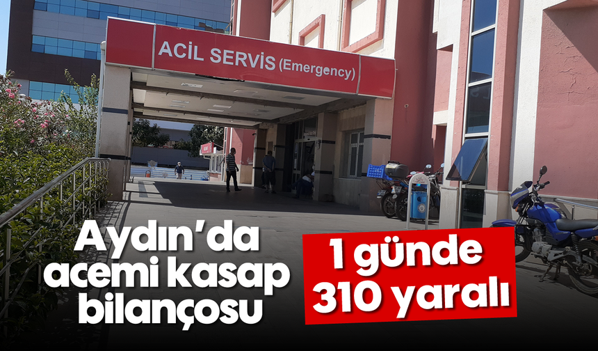 Aydın'da acemi kasap bilançosu: 1 günde 310 yaralı