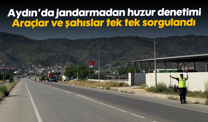 Aydın'da jandarmadan huzur denetimi: Araçlar ve şahıslar tek tek sorgulandı