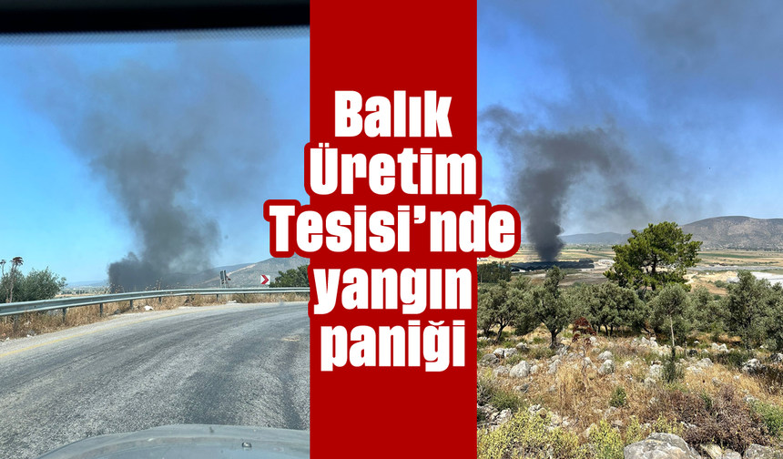 Balık Üretim Tesisi'nde yangın paniği