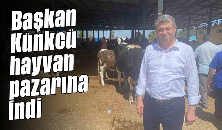 Başkan Künkcü hayvan pazarına indi