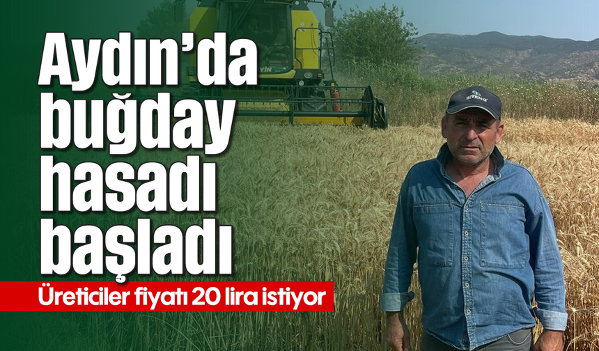 Aydın’da buğday hasadı başladı: Üreticiler fiyatı 20 lira istiyor