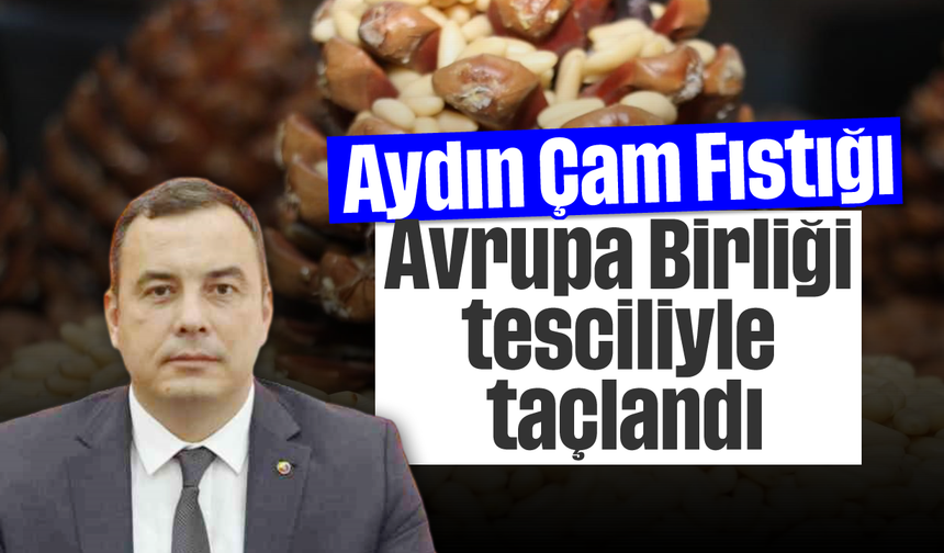 Aydın Çam Fıstığı, Avrupa Birliği tesciliyle taçlandı