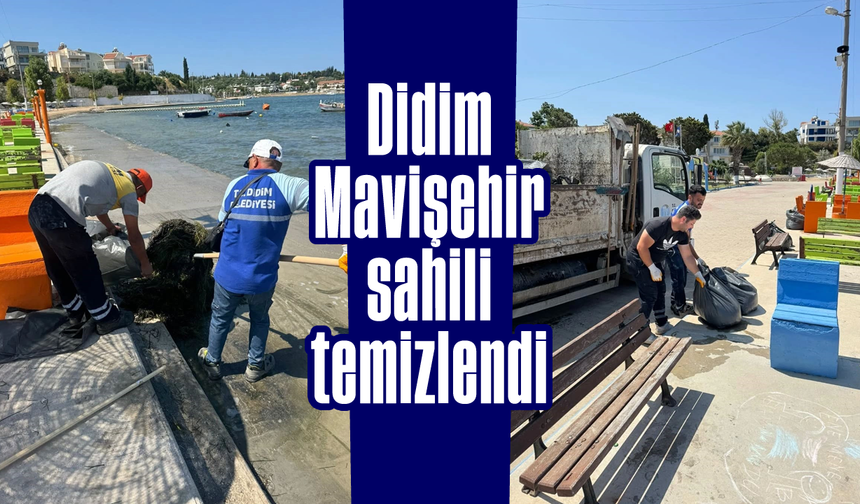 Didim Mavişehir sahili temizlendi