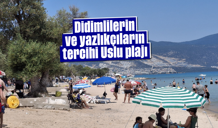 Didimlilerin ve yazlıkçıların tercihi Uslu plajı