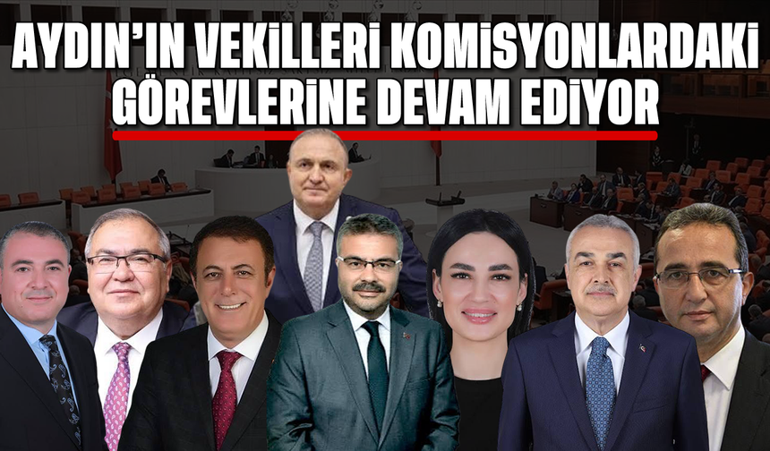 Aydın'ın vekilleri komisyonlardaki görevlerine devam ediyor
