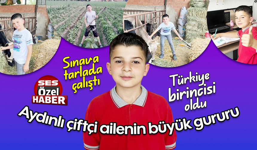 Aydınlı çiftçi ailenin büyük gururu.: Sınava tarlada çalıştı, Türkiye birincisi oldu