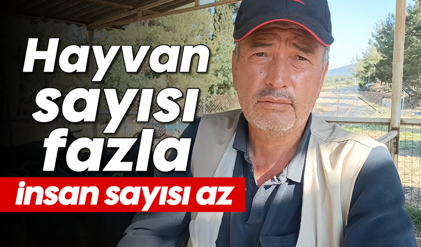 Hayvan sayısı fazla insan sayısı az