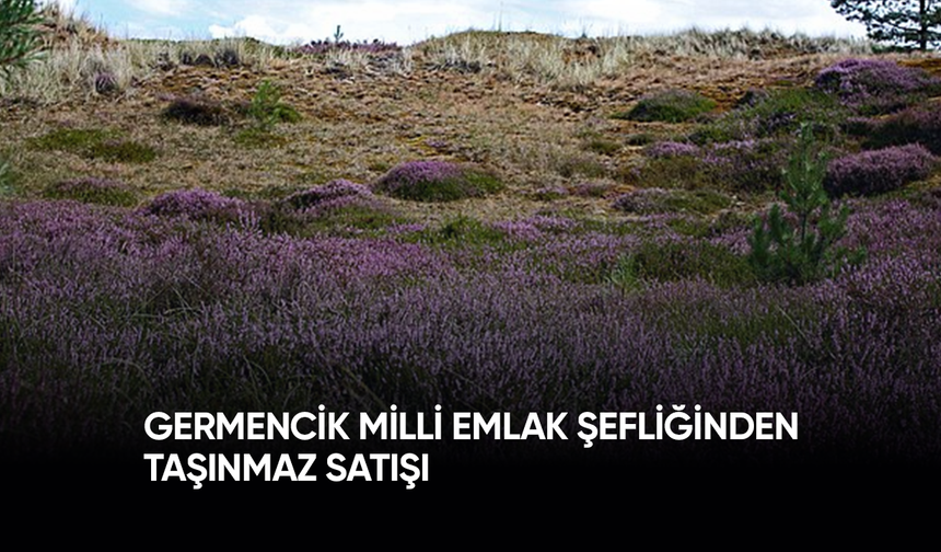 Germencik Milli Emlak Şefliğinden Taşınmaz Satışı