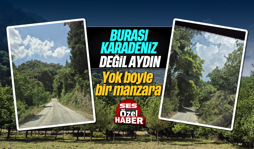 Burası Karadeniz değil Aydın: Yok böyle bir manzara