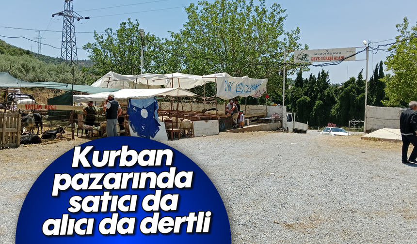 Kurban pazarında satıcı da alıcı da dertli