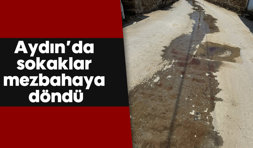 Aydın’da sokaklar mezbahaya döndü