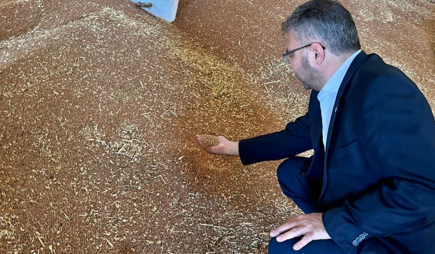 Özmen’den hububat açıklaması