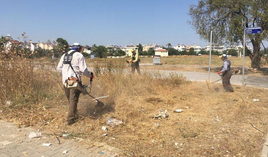Didim Belediyesi'nden kent genelinde çevre temizliği