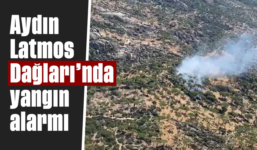 Aydın Latmos Dağları'nda yangın alarmı