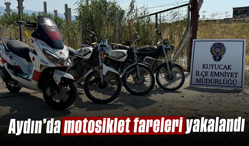 Aydın'da motosiklet fareleri yakalandı