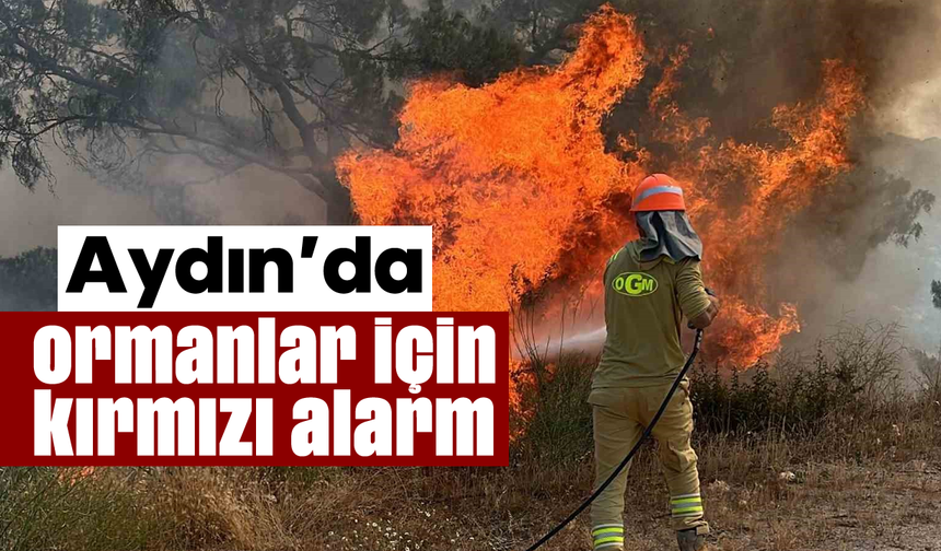 Aydın’da ormanlar için kırmızı alarm