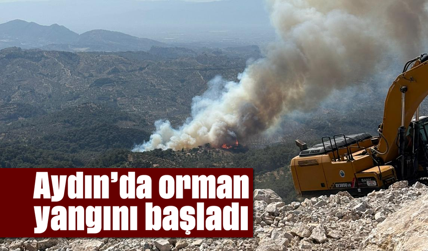 Aydın'da orman yangını başladı