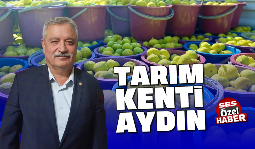 Tarım kenti Aydın