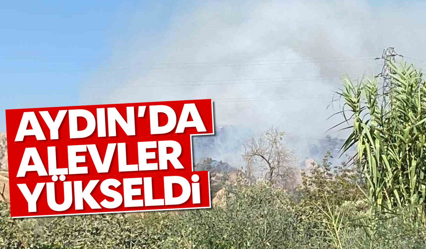 Aydın'da alevler yükseldi