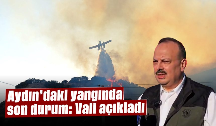 Aydın’daki yangında son durum: Vali açıkladı