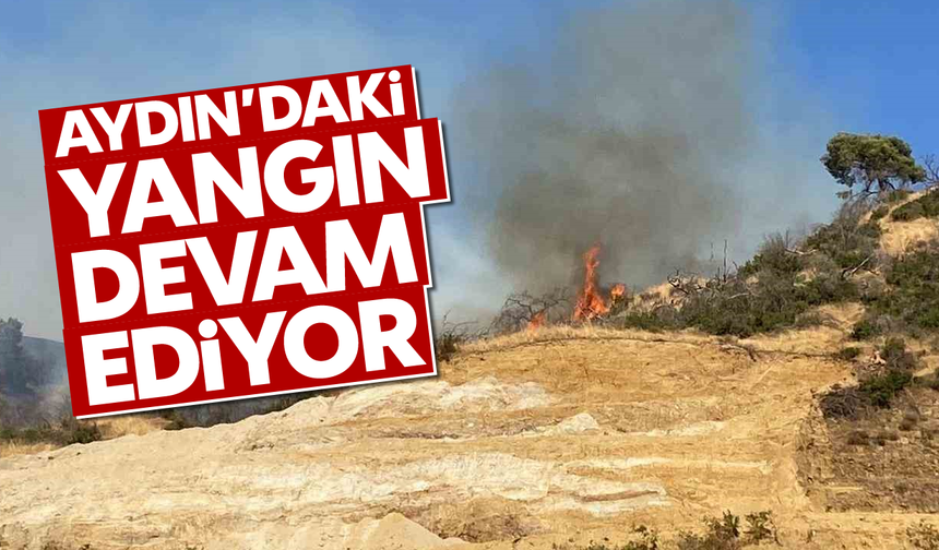 Aydın'daki yangın devam ediyor