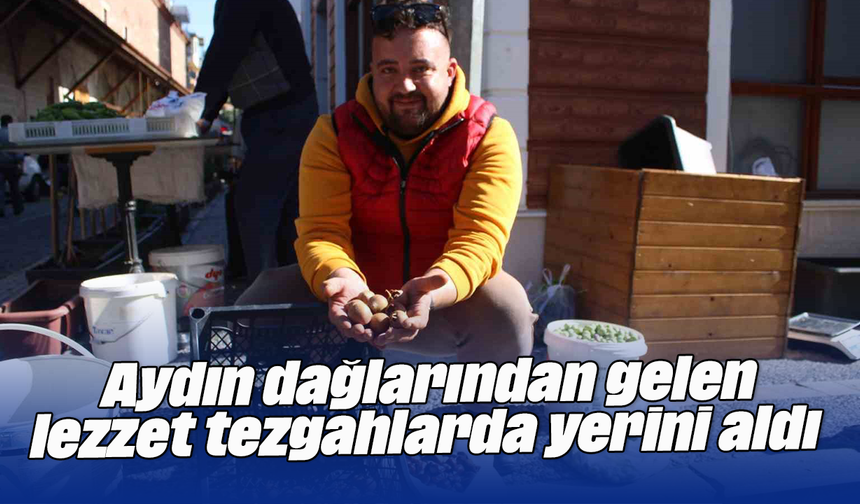 Aydın dağlarından gelen lezzet tezgahlarda yerini aldı