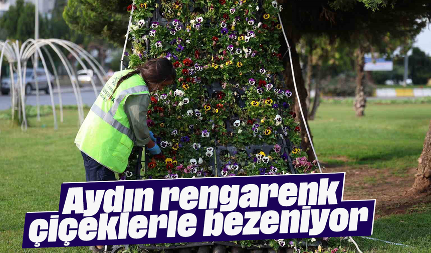 Aydın rengarenk çiçeklerle bezeniyor