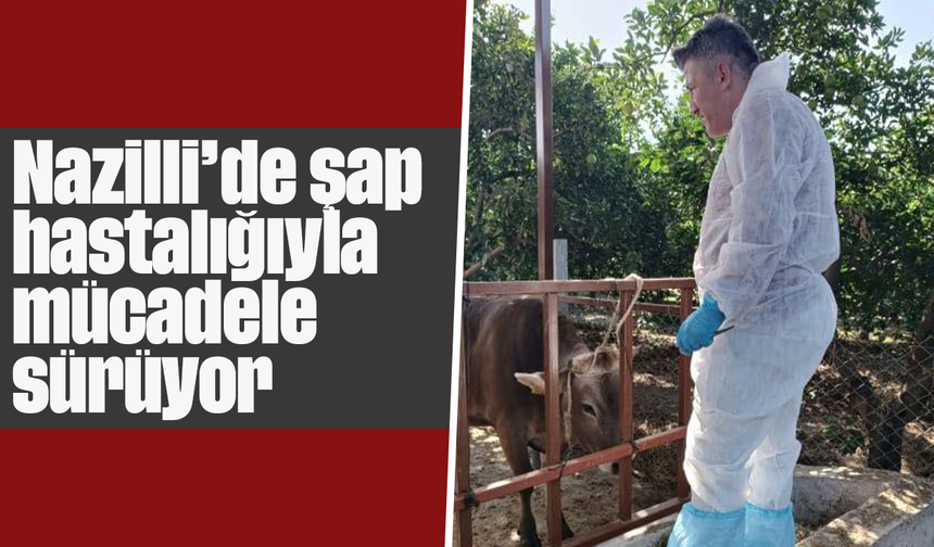 Nazilli’de şap hastalığıyla mücadele sürüyor