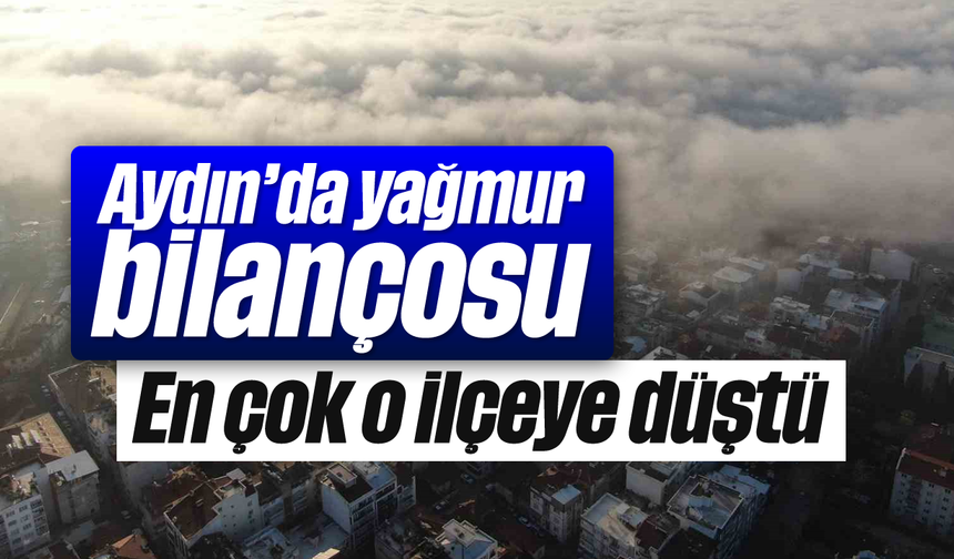 Aydın'da yağmur bilançosu: En çok o ilçeye düştü