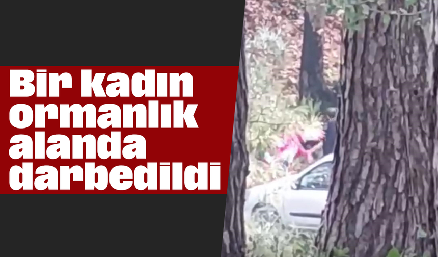 Bir kadın ormanlık alanda darbedildi