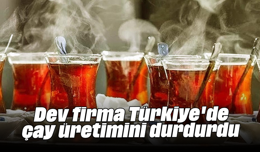 Dev firma Türkiye'de çay üretimini durdurdu