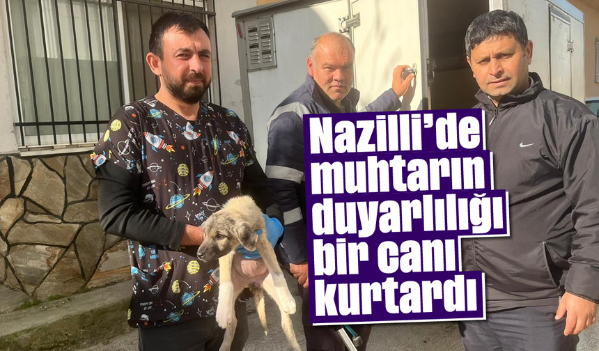 Nazilli'de muhtarın duyarlılığı bir canı kurtardı