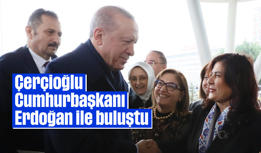 Çerçioğlu, Cumhurbaşkanı Erdoğan ile buluştu