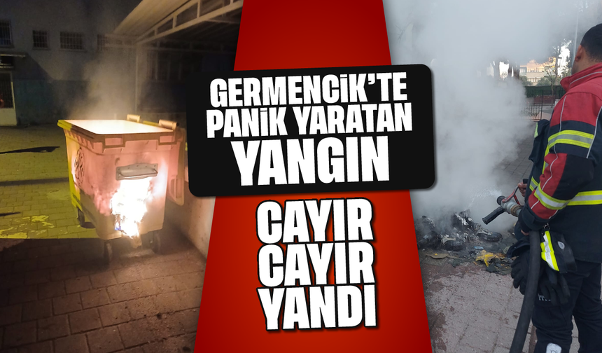 Germencik'te panik yaratan yangın: Cayır cayır yandı