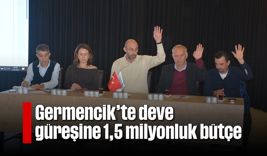 Germencik’te deve güreşine 1,5 milyonluk bütçe