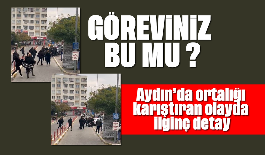 Aydın'da ortalığı karıştıran olayda ilginç detay