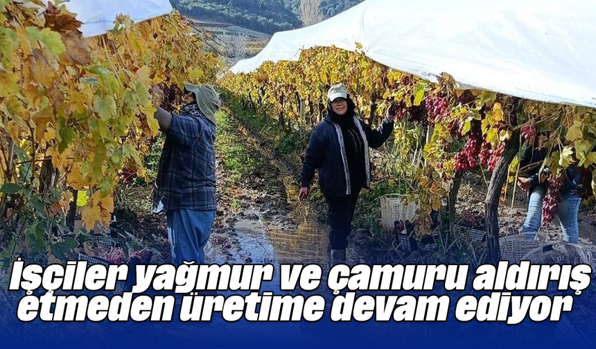 İşçiler yağmur ve çamuru aldırış etmeden üretime devam ediyor